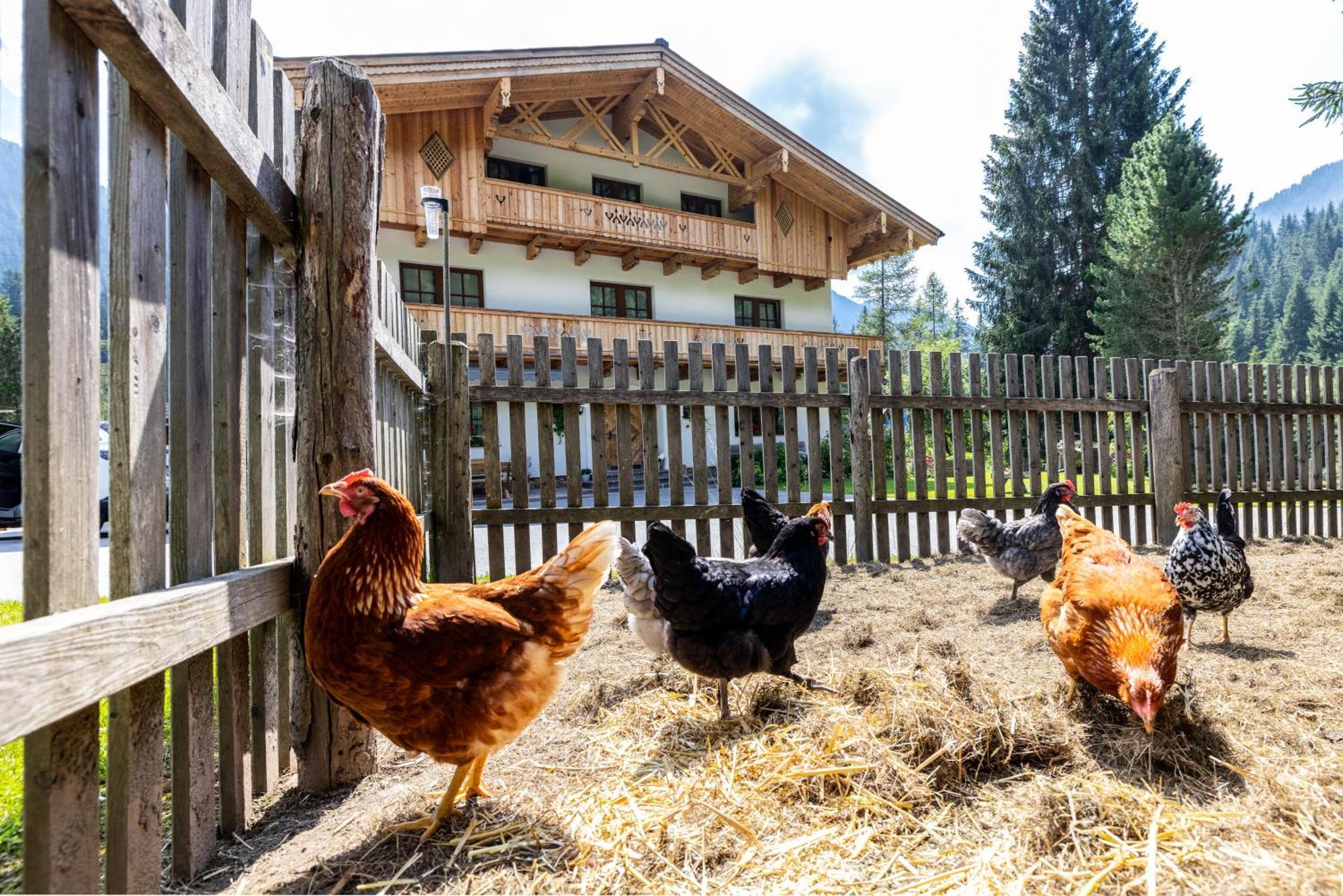 ホテル Walchauhof フラッハウ エクステリア 写真